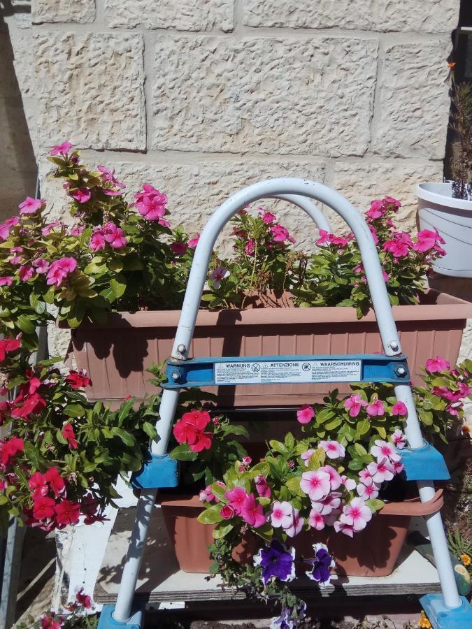 شقة Cozy Garden القدس المظهر الخارجي الصورة