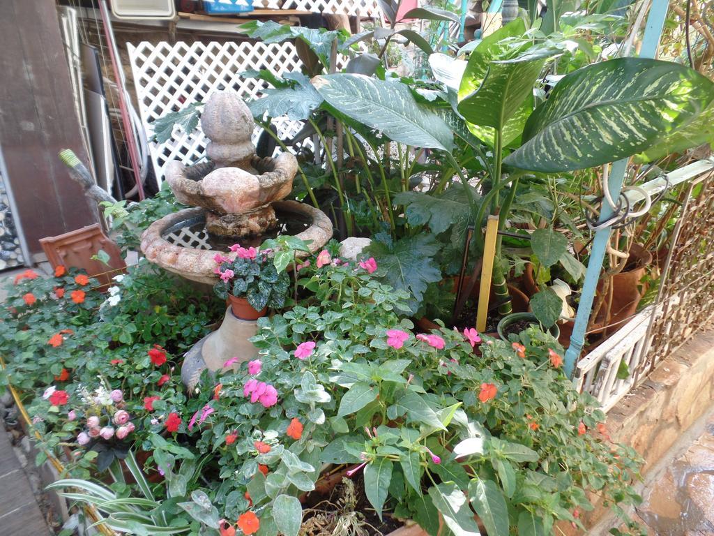 شقة Cozy Garden القدس المظهر الخارجي الصورة