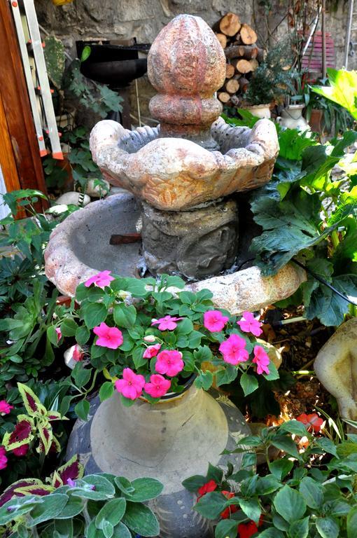 شقة Cozy Garden القدس المظهر الخارجي الصورة