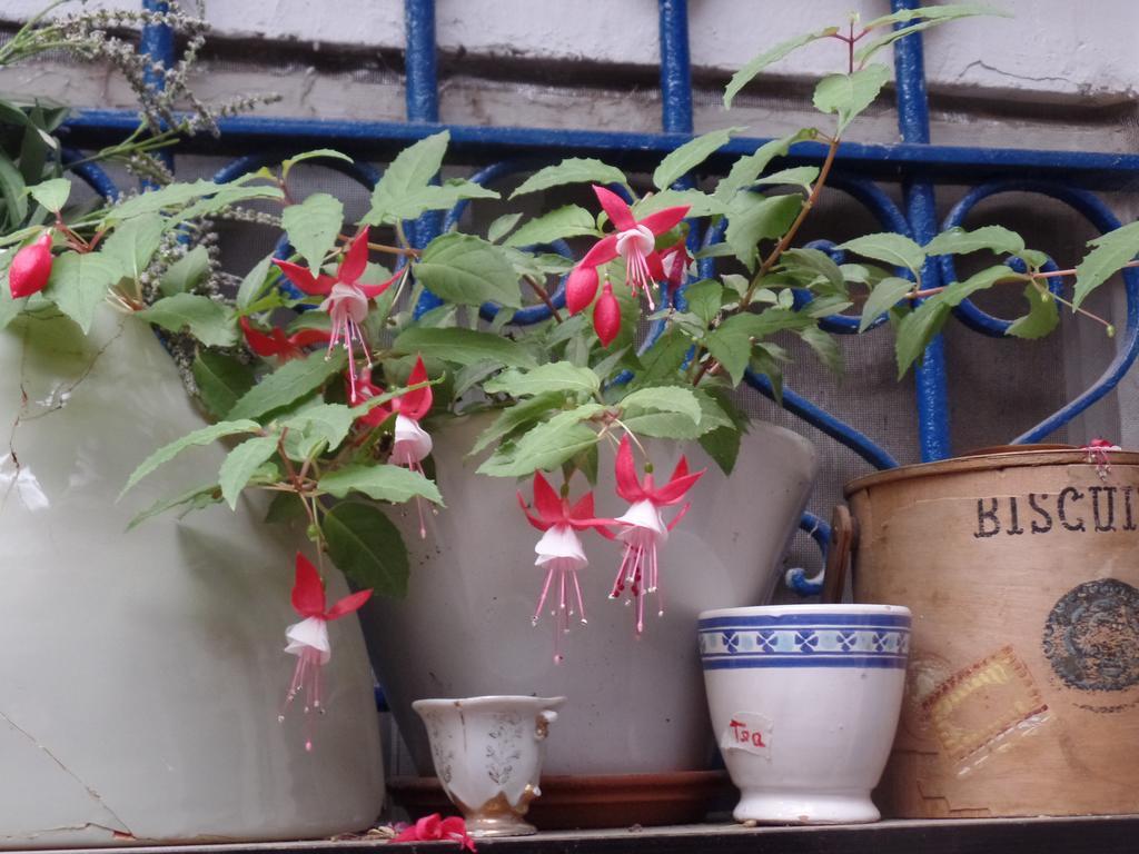 شقة Cozy Garden القدس المظهر الخارجي الصورة