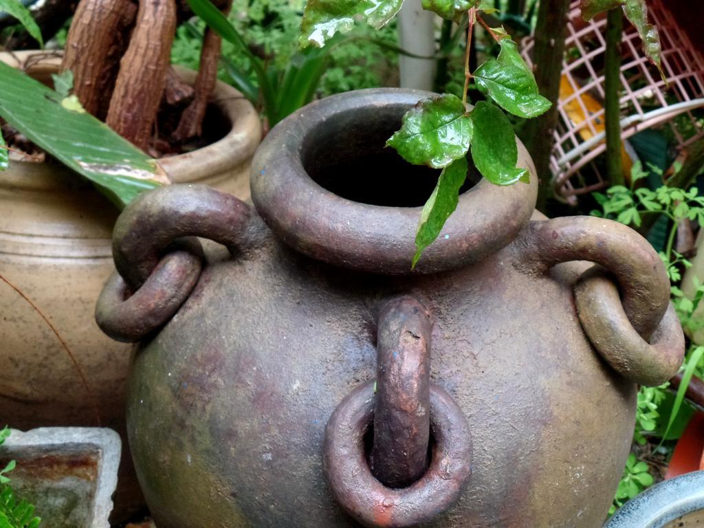 شقة Cozy Garden القدس المظهر الخارجي الصورة