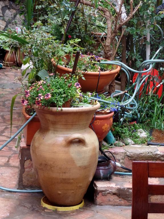 شقة Cozy Garden القدس المظهر الخارجي الصورة