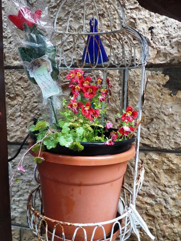 شقة Cozy Garden القدس المظهر الخارجي الصورة
