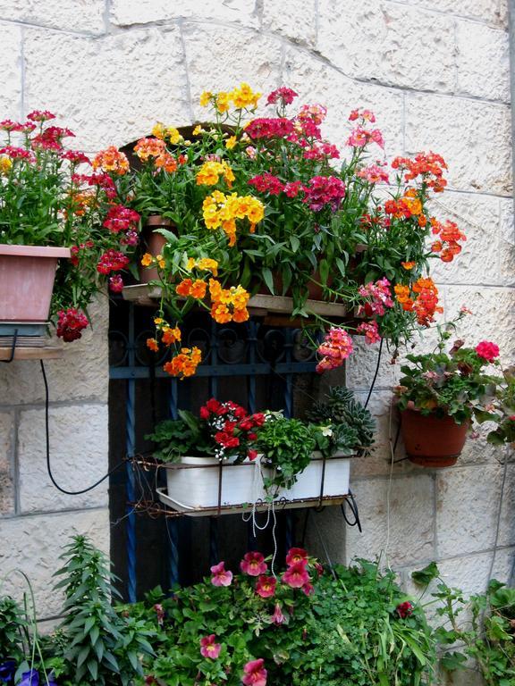 شقة Cozy Garden القدس المظهر الخارجي الصورة