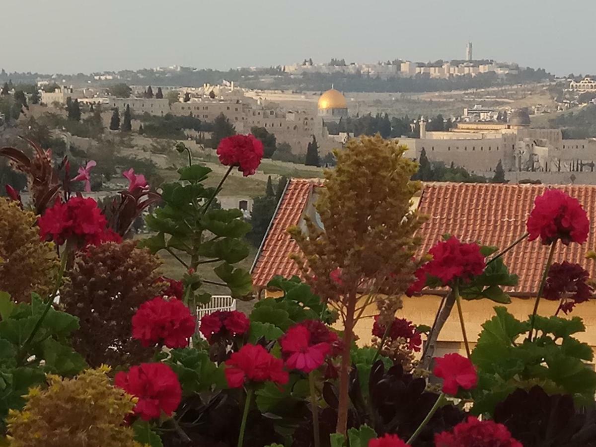 شقة Cozy Garden القدس المظهر الخارجي الصورة