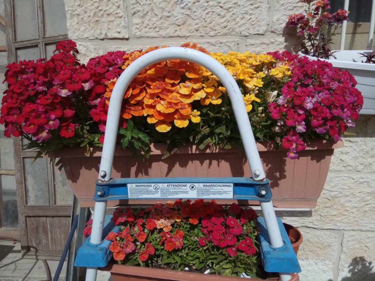 شقة Cozy Garden القدس المظهر الخارجي الصورة